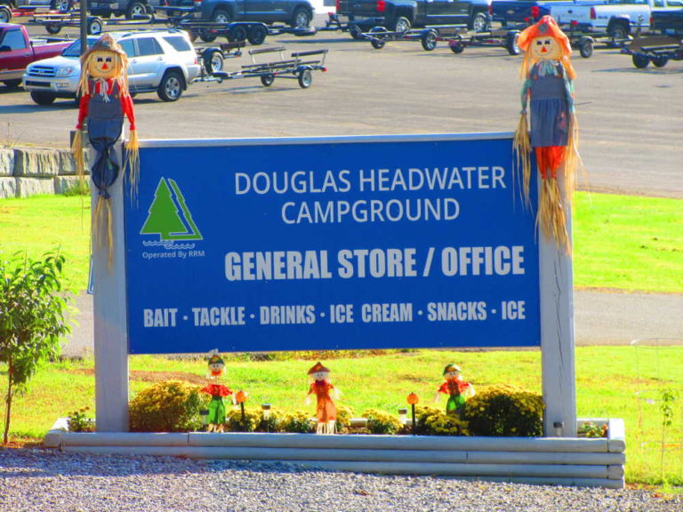 Douglas Dam Headwater Campground – Douglas Lake