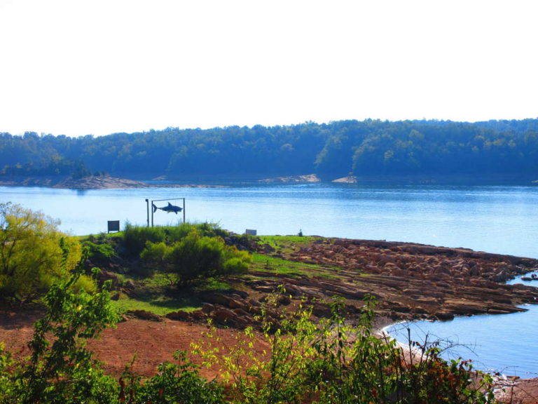 Cabin Rentals Douglas Lake